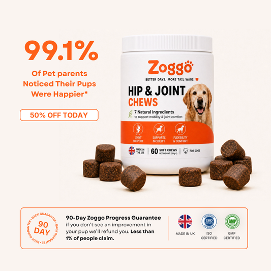 Zoggo Hip & Joint Chews