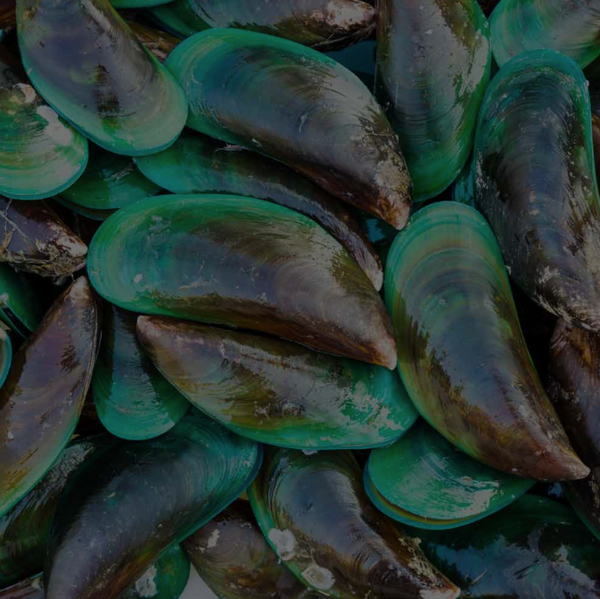 Green-Lipped Mussels