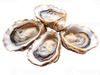 Glucosamine